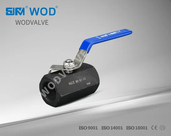 1PC Hexagon Carbon Steel High Pressure Female Threaded Ball Valves Industrial Valve